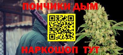 гидропоника Пугачёв