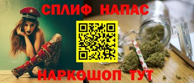 гидропоника Пугачёв
