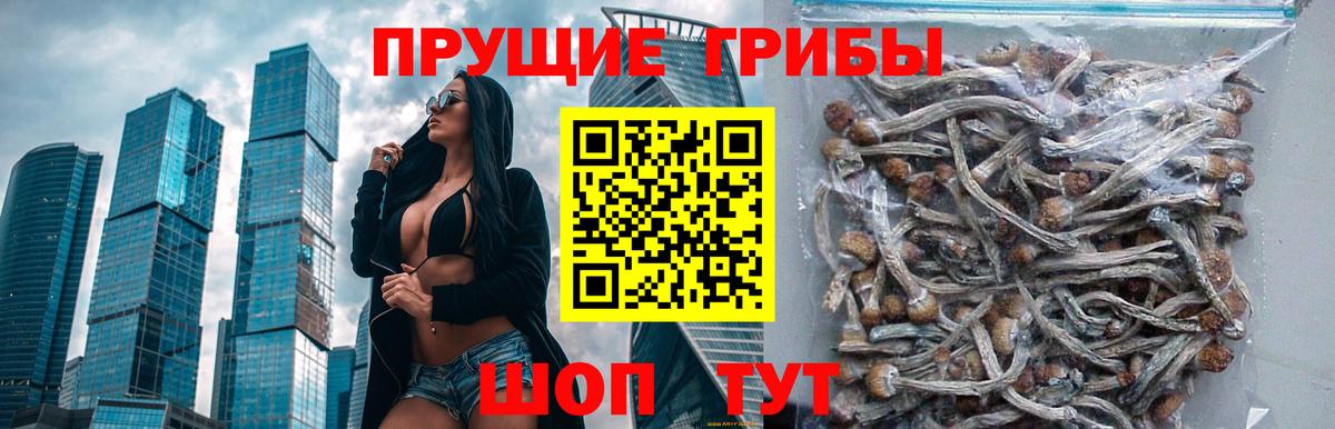 Ростов Великий  Галлюциногенные грибы MAGIC MUSHROOMS  Вход с VPN 